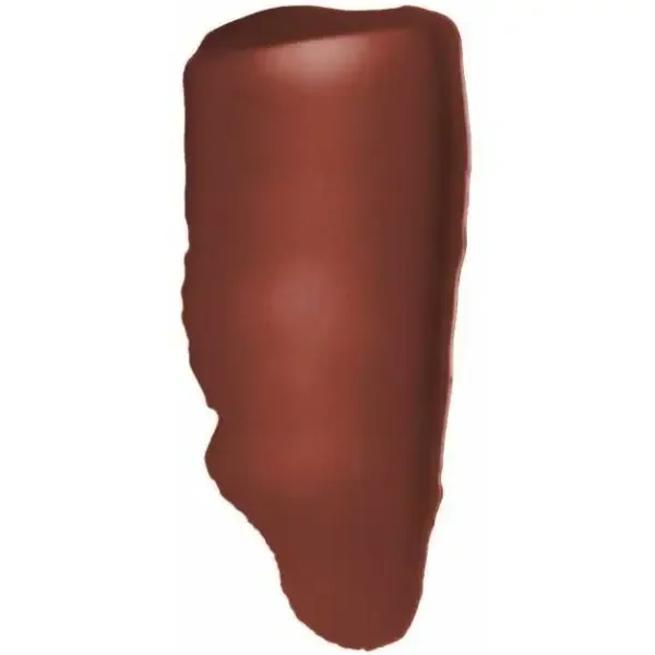 213 DÉPOUILLÉ BROWN - Rouge à Lèvres Infaillible Lip Paint MATTE de L'Oréal Paris