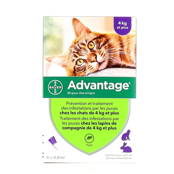 Advantage Pipettes Chat et Lapin