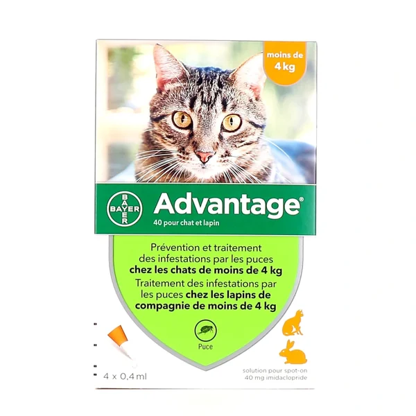 Advantage Pipettes Chat et Lapin