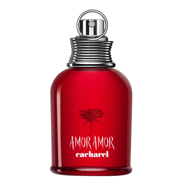 Amor Amor