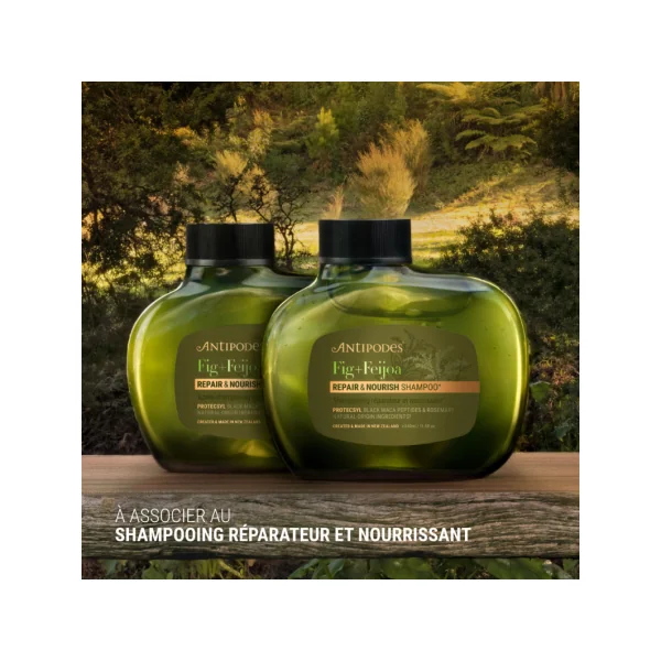 APRES SHAMPOING FIGUE / FEIJOA REPARATEUR ET NOURRISSANT 340ml