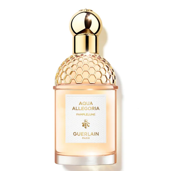 Aqua Allegoria Pamplelune