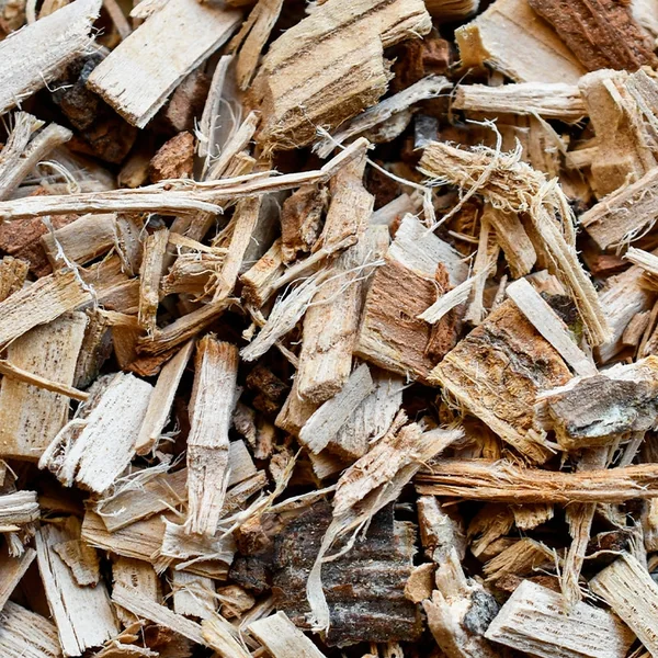 Aubier de tilleul du Roussillon BIO copeaux (Tisane en vrac)