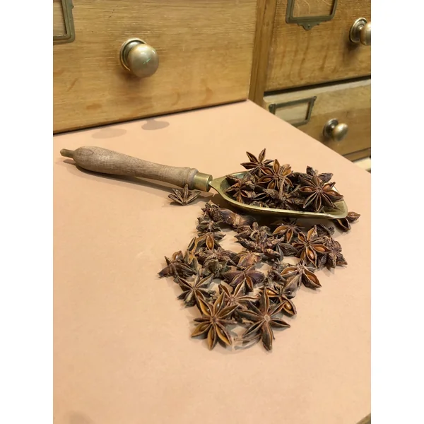 Badiane Anis étoilé fruits BIO (Tisane en vrac)