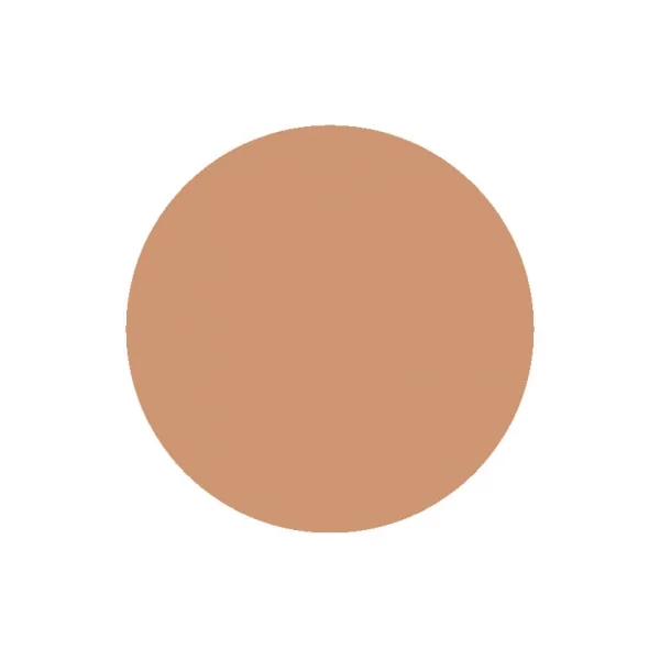 Benecos Stick Correcteur de Teint 4,5 g - Teinte : Beige