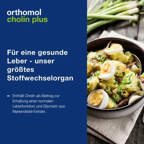Cholin Plus - zur Erhaltung einer normalen Leberfunktion - mit Silymarin aus Mariendistel-Extrak