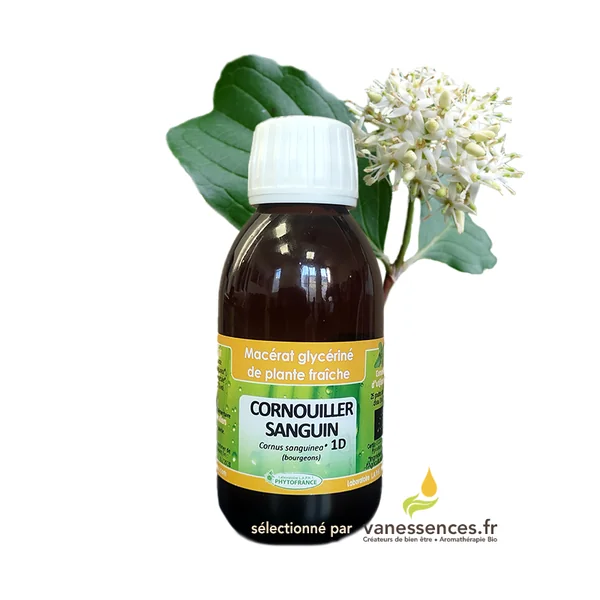 Cornouiller sanguin Macérat de bourgeons Bio au 10eme