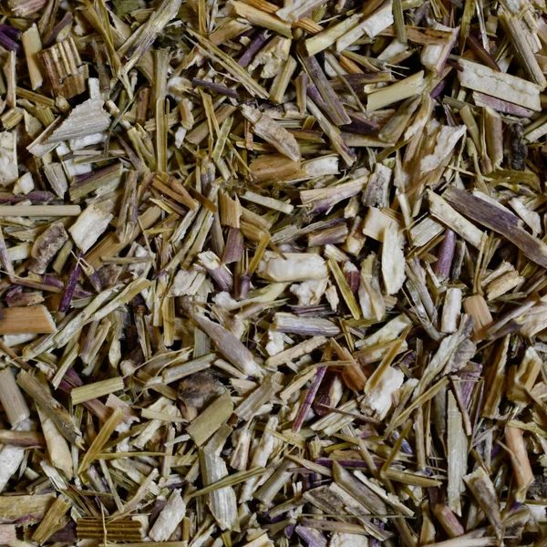 Erysimum Parties aériennes (Tisane en vrac)