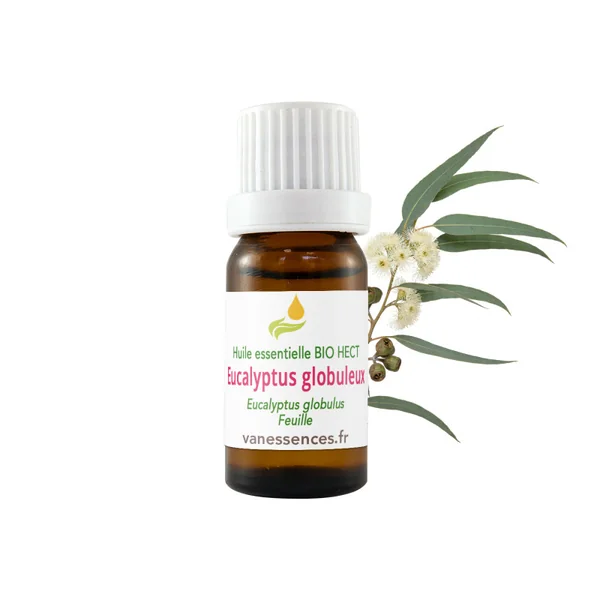 Eucalyptus globuleux - Huile essentielle BIO HECT