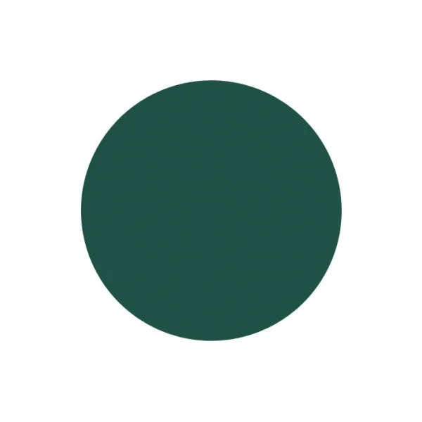 Eye Care Eyeliner 5 g - Teinte : 306 : Vert