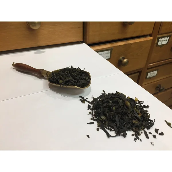 Fucus vesiculosus Algue Côtes Bretonnes Varech vésiculeux (Tisane en vrac)