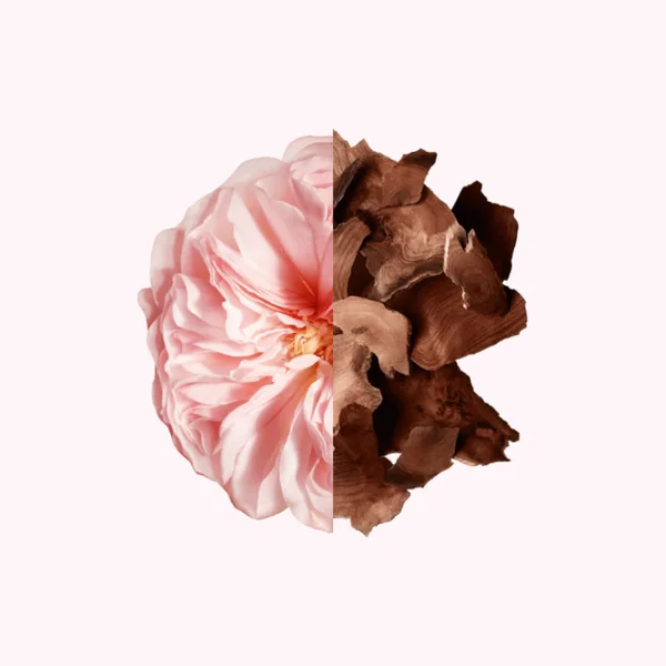 Givenchy - Irresistible Parfum pour les cheveux