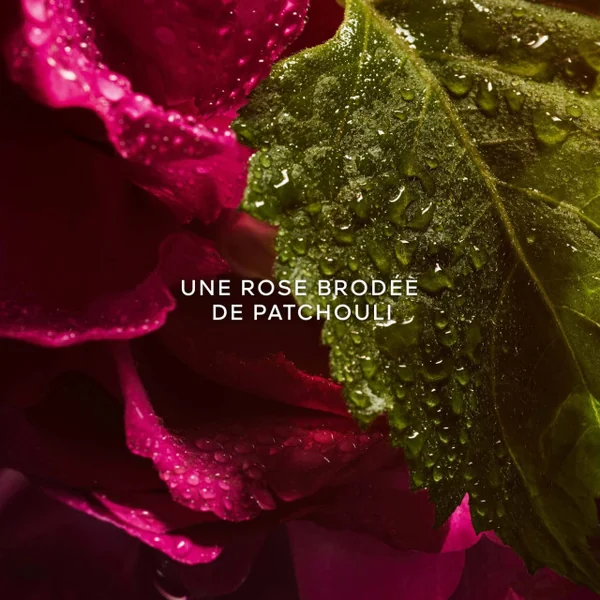 Guerlain - La Petite Robe Noire Eau de Parfum Absolue