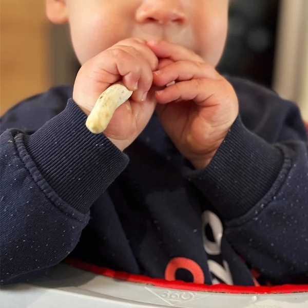 Guimauve racines BIO - Hochet Bébé