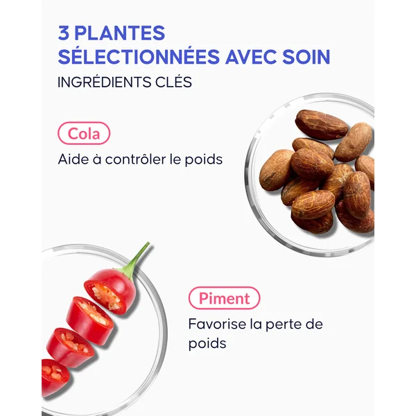 Gélules Perte de Poids