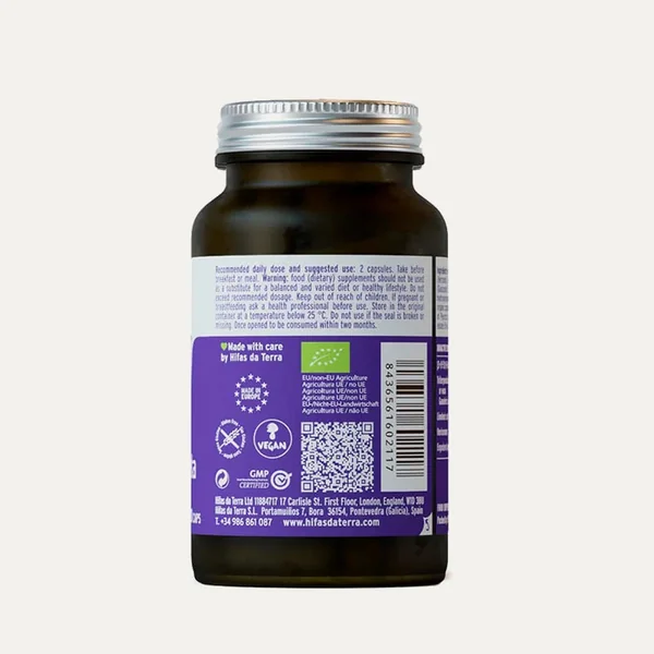 Hifas - Microbiota BIO