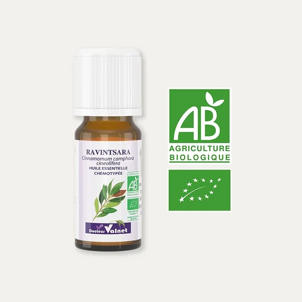 Huile essentielle Ravintsara BIO