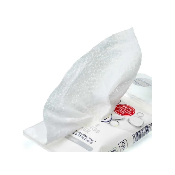 Hygiene Reinigungstücher, 10 St Biozidprodukt