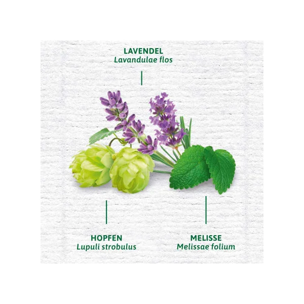 Kräutertee "Einschlaftee mit Melatonin" (12 Beutel), 27,12 g