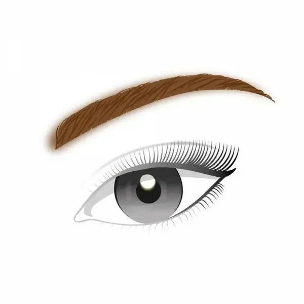 Light To Medium - Kit Sourcils Brow Artist Genius Kit de L'Oréal Paris