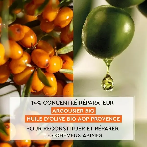 Masque Reconstituant Réparation Intense Argousier & Huile d'Olive Bio AOP Provence Pour Cheveux Abîmés de La Provençale