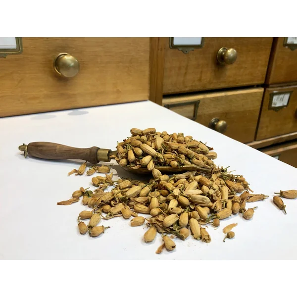 Oranger Bigarade boutons (Tisane en vrac)