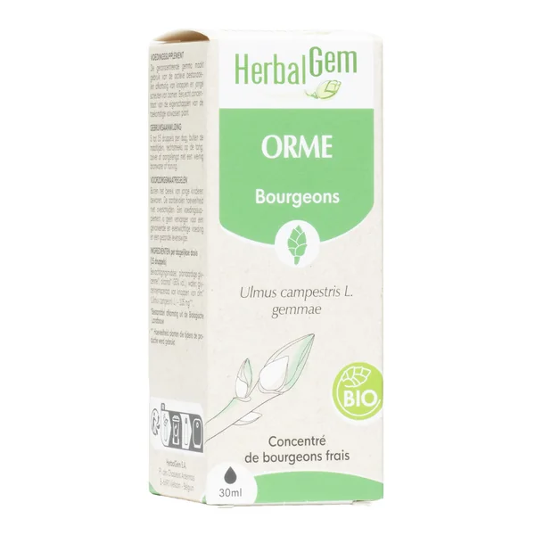 Orme Extrait de bourgeons bio