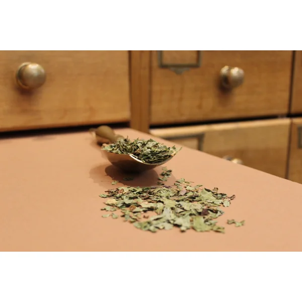 Pissenlit feuilles coupées BIO (Tisane en vrac)