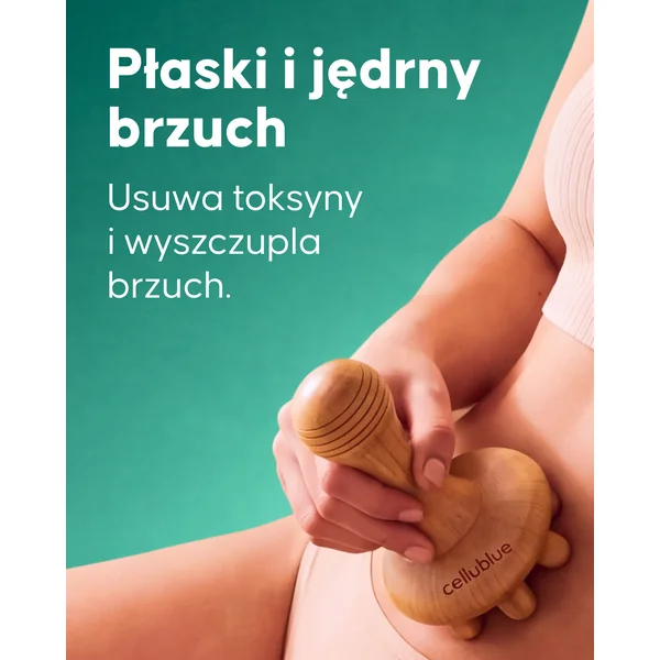 Programme Ventre Plat