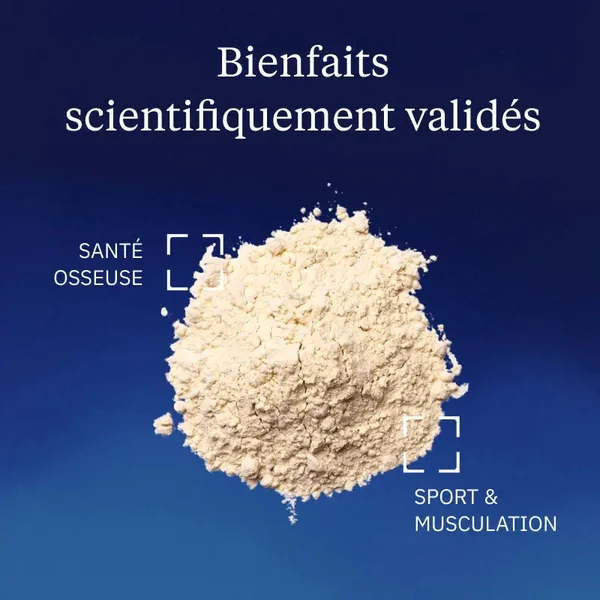 Protéines végétales BIO (Poudre)