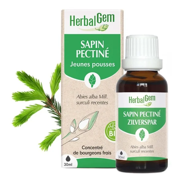 Sapin pectiné Extrait de bourgeons bio