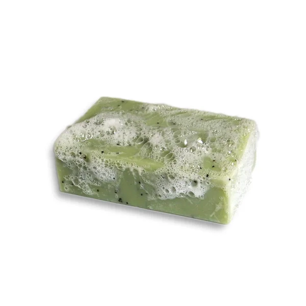 Savon Le Gecko