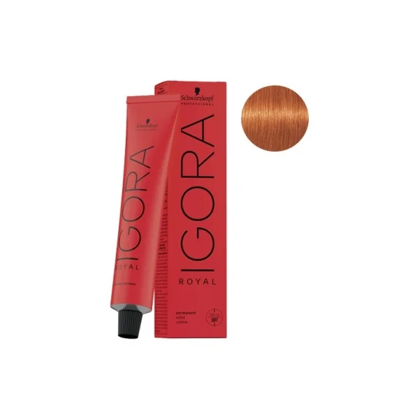 Schwarzkopf Igora Royal Coloration Permanente 60 ml - Coloration : 8-77 Blond Clair Cuivré Extra