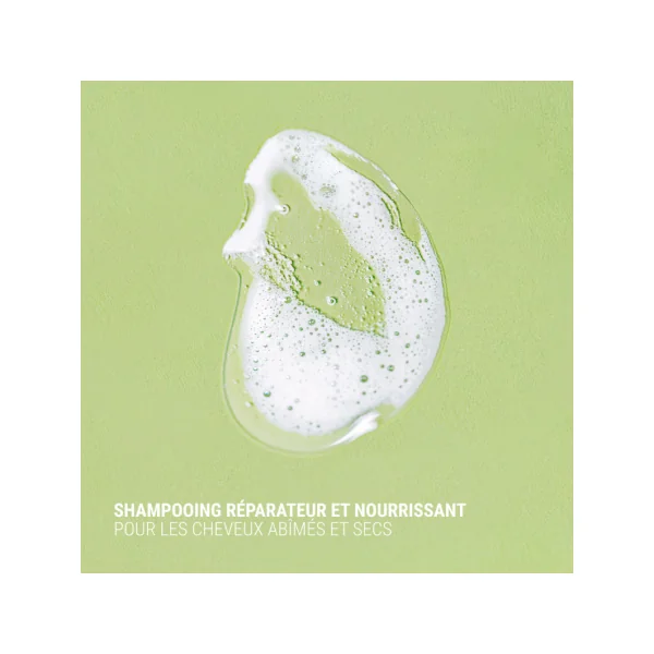SHAMPOING FIGUE / FEIJOA REPARATEUR ET NOURRISSANT 340ml