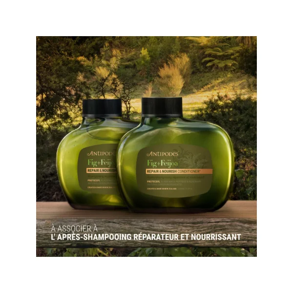 SHAMPOING FIGUE / FEIJOA REPARATEUR ET NOURRISSANT 340ml