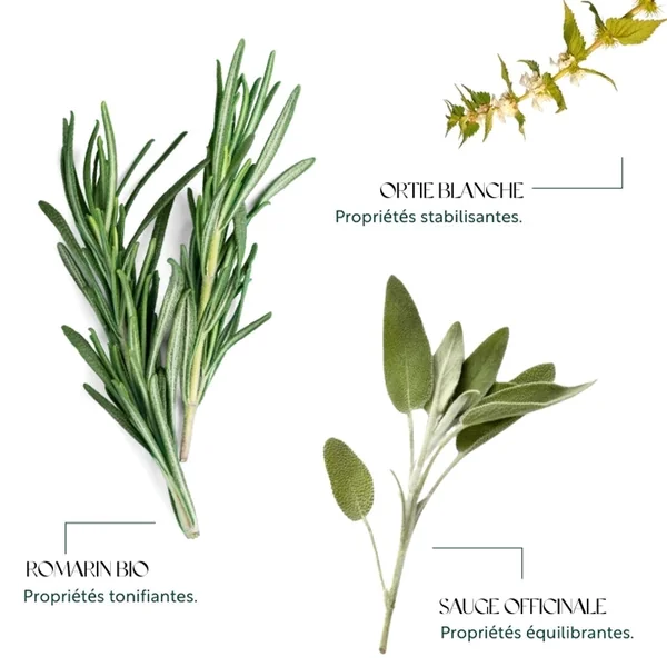 Shampooing Naturel aux Herbes