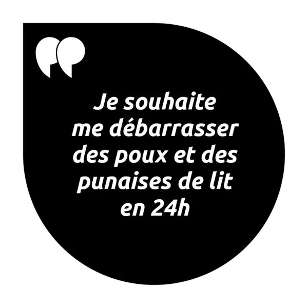 SPECIAL ENVIRONNEMENT - Traitement de l'Environnement Infesté Poux, Lentes et Punaises de Lit, 250ml