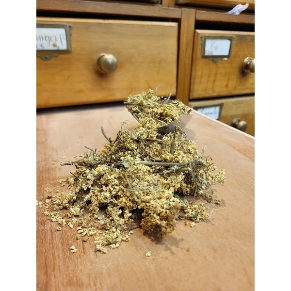 Sureau Noir fleurs en corymbe BIO (Tisane en vrac)