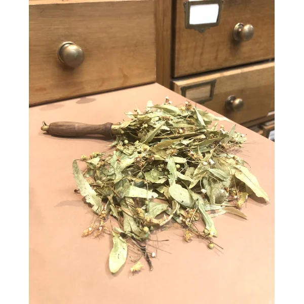 Tilleul bractée BIO (Tisane en vrac)