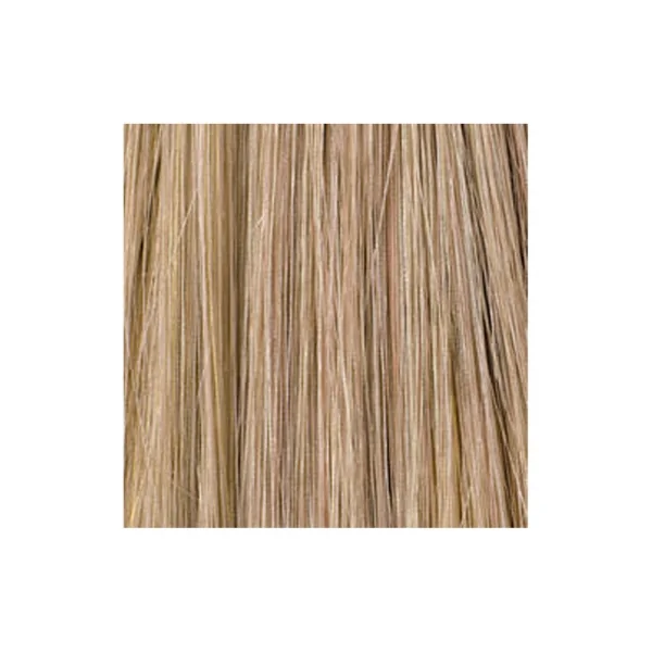 Toppik Fibres Capillaires Densifiantes 12 g - Teinte : Blond