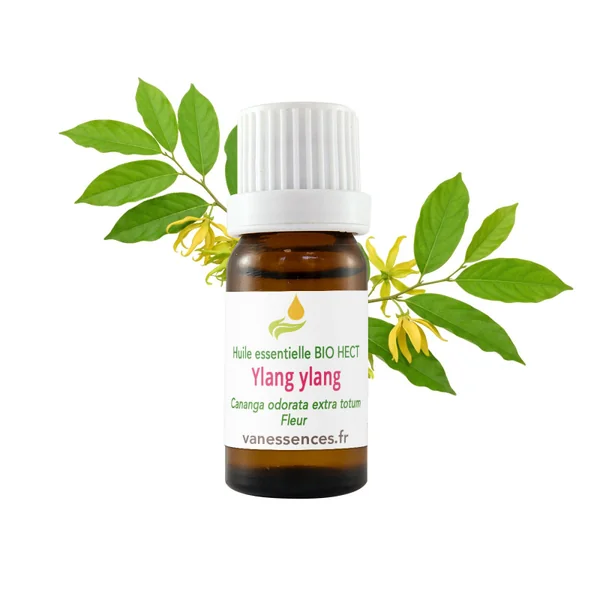 Ylang ylang - Huile essentielle BIO HECT